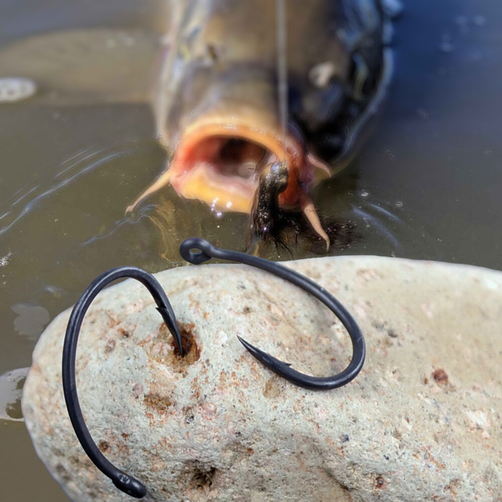 Hirisi Carp Fishing Hooks 50pc - Fishing Hook Circle 评论和价格